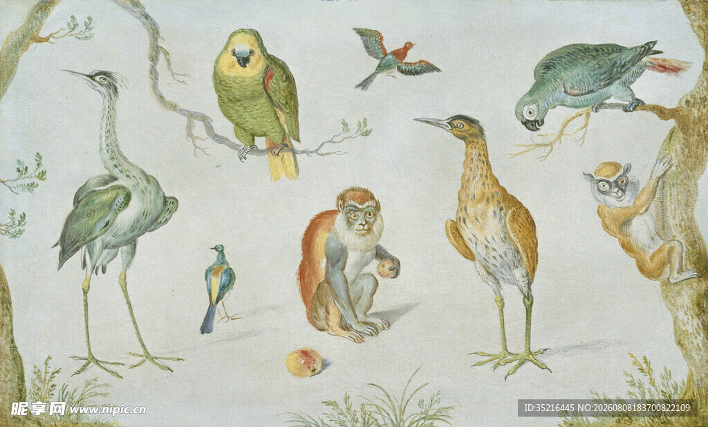 复古风鸟类动物插画图