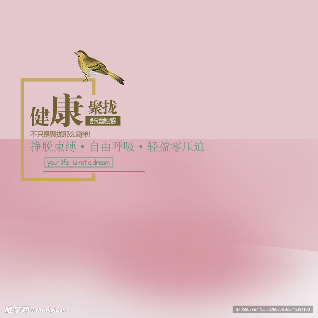 粉色背景上的健康鸟图案
