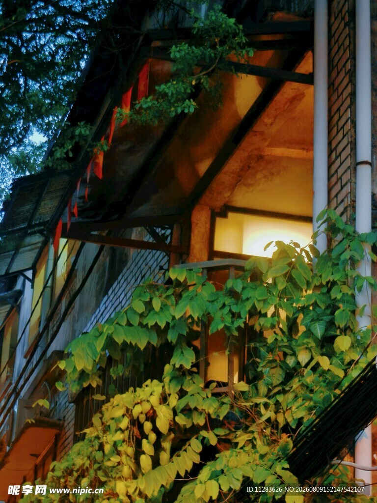 温馨木屋外的绿植夜景