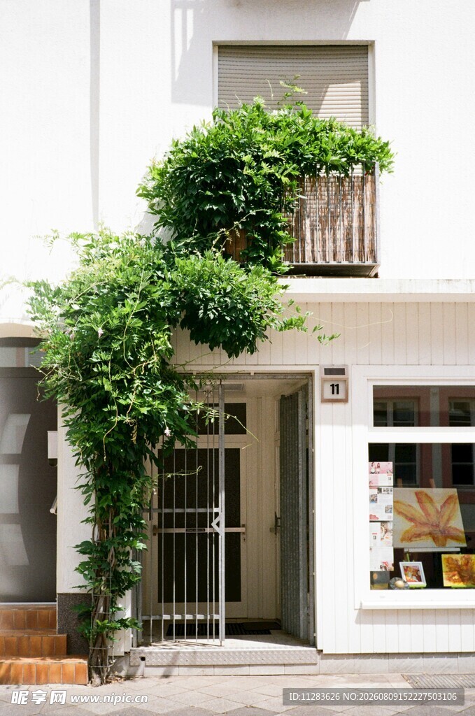 绿植环绕的清新临街建筑