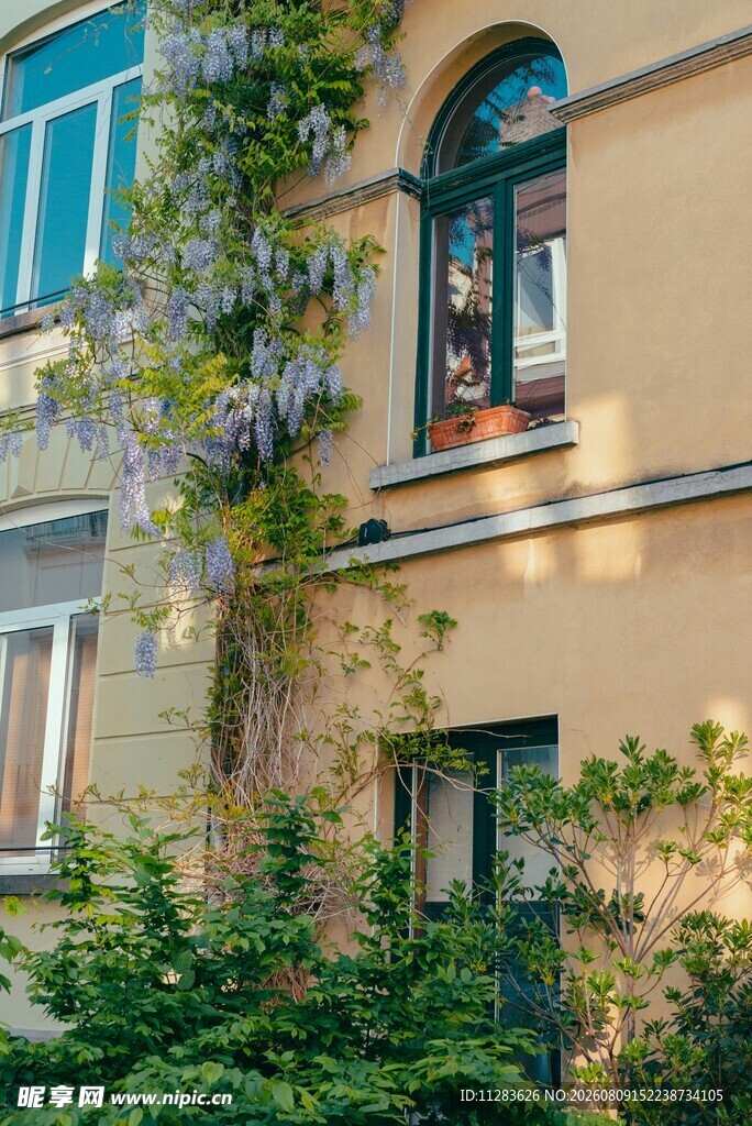欧式建筑外的绿植景观