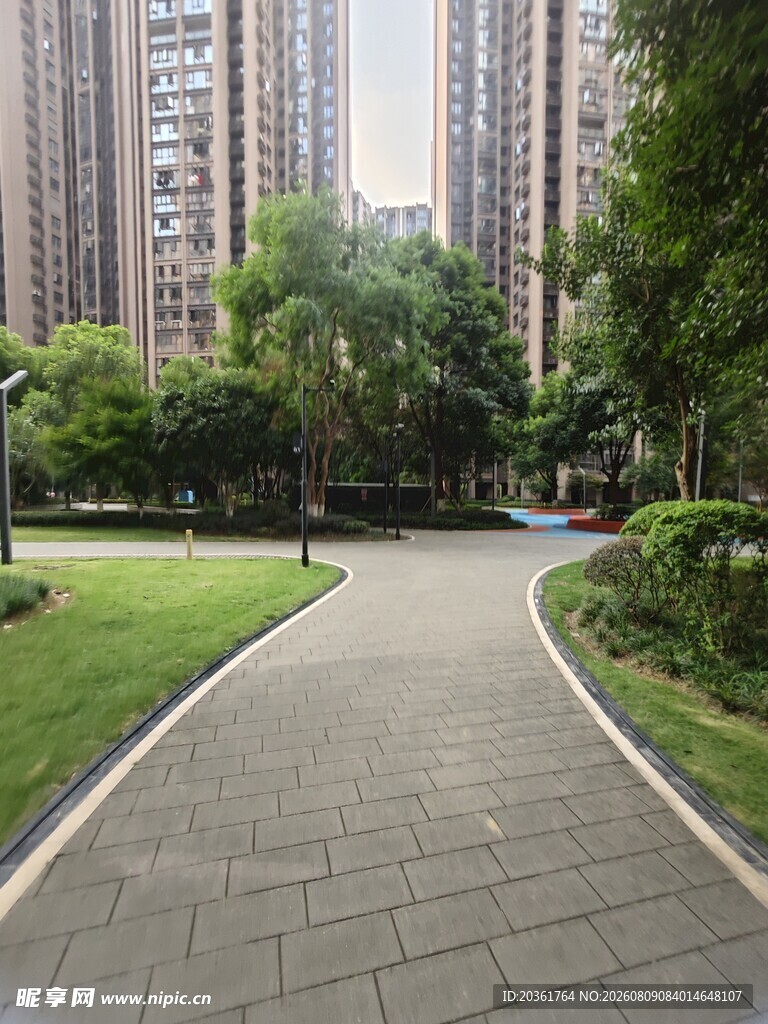 城市中幽静的花园小径