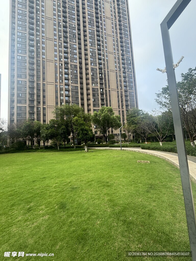 城市草坪旁的高楼景观