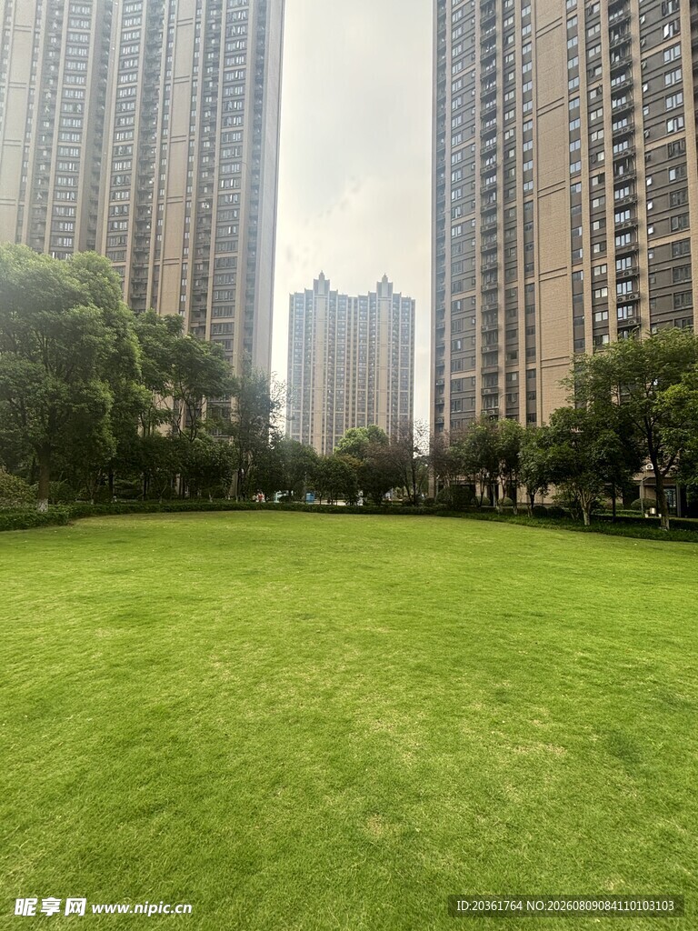 城市中的翠绿草坪景观