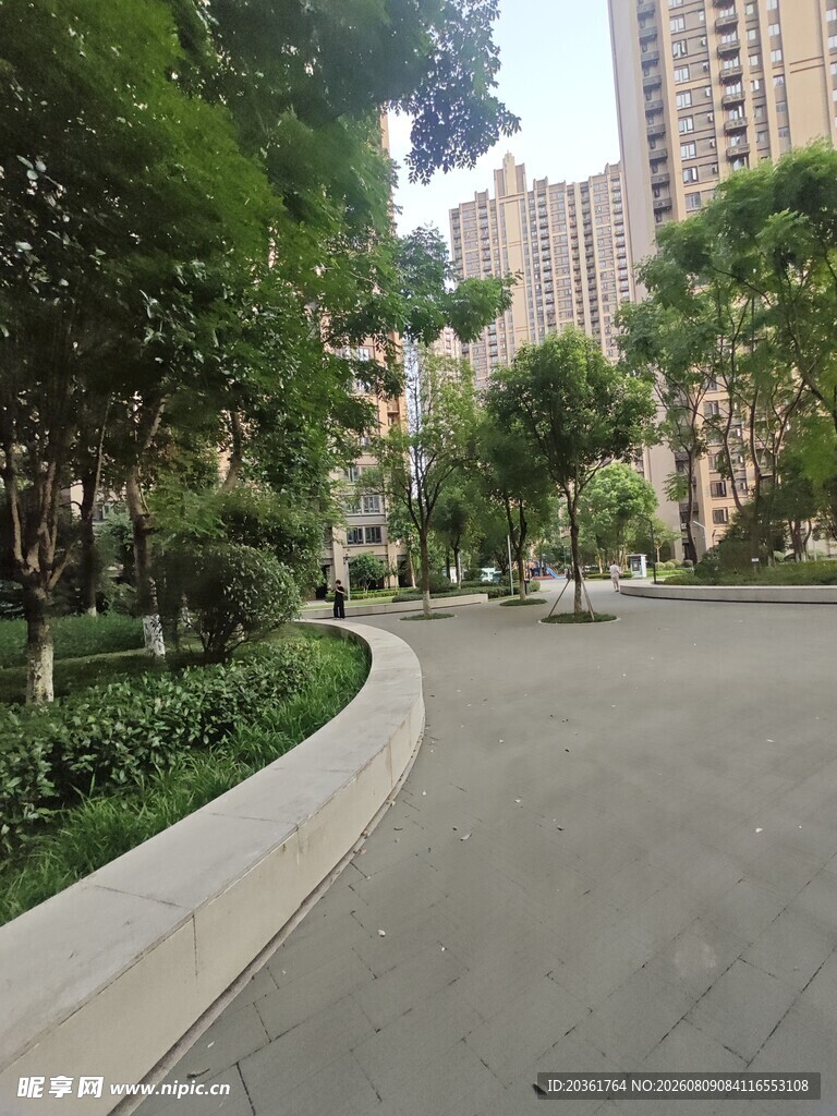 城市中静谧的林荫道路