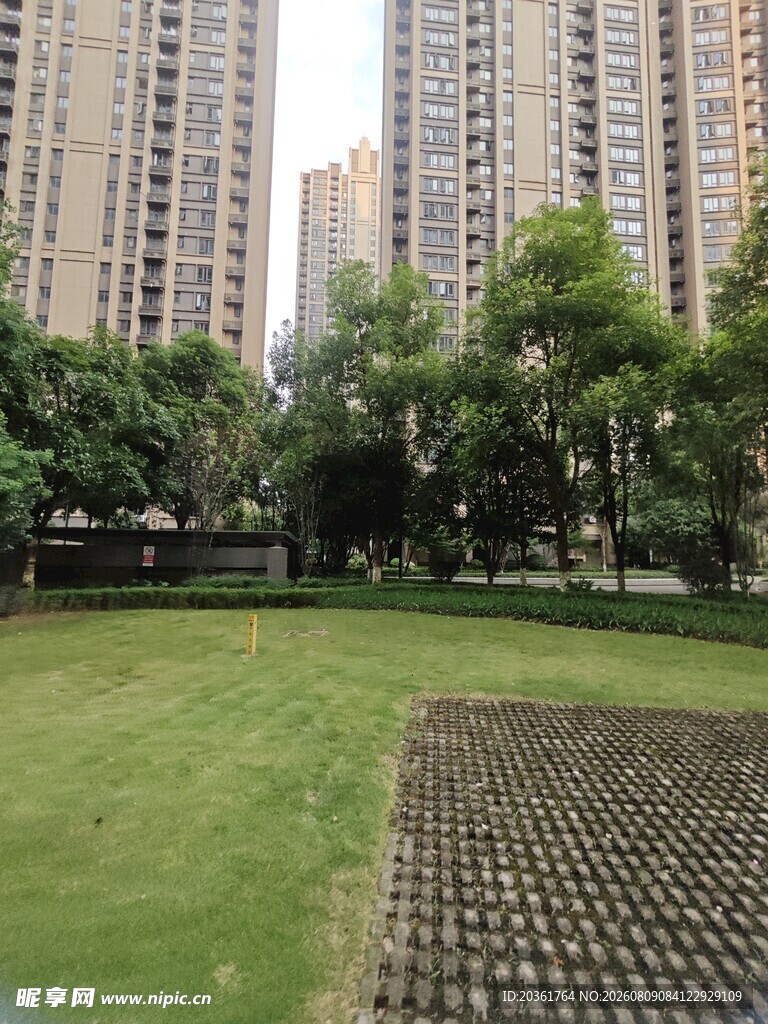 城市中的绿地与高楼景观