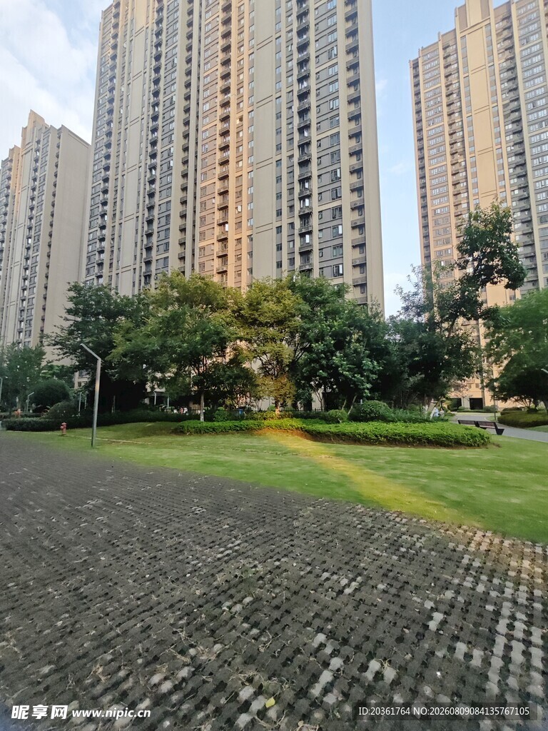 城市中的高楼与绿地景观