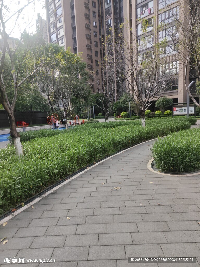 小区内的幽静步道景观