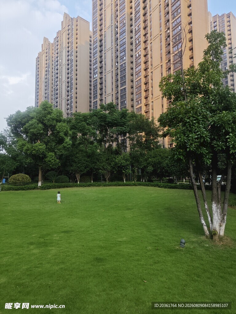 城市草坪旁的高楼景观