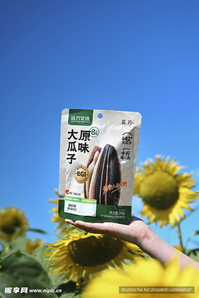 手持瓜子包装于向日葵间