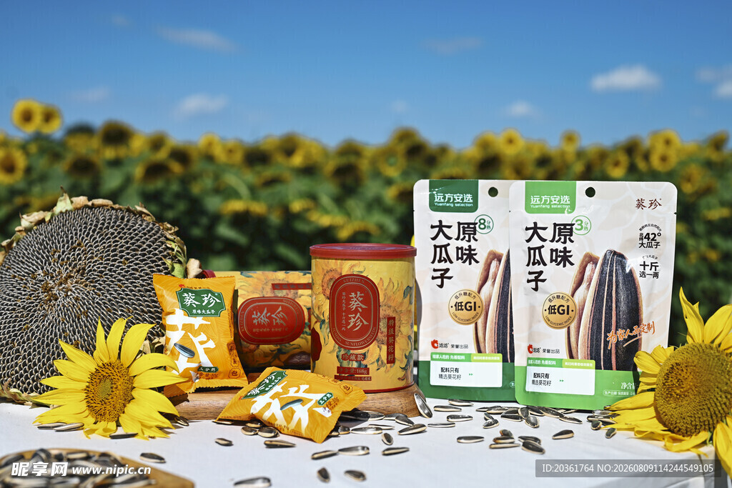 户外美味零食组合展示
