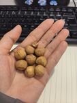 手中的美味榛子