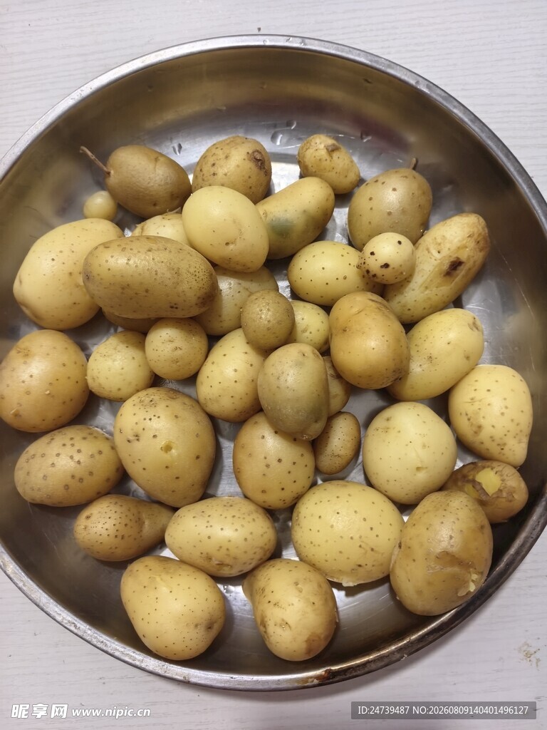 盆中圆润小土豆