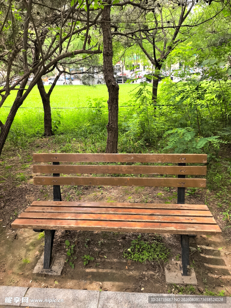 林间木长椅静享自然时光