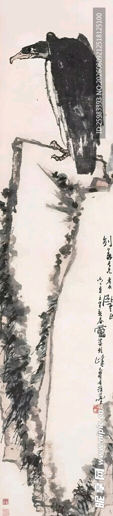 雄鹰俯视图