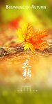 立秋海报