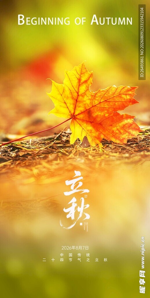 立秋海报