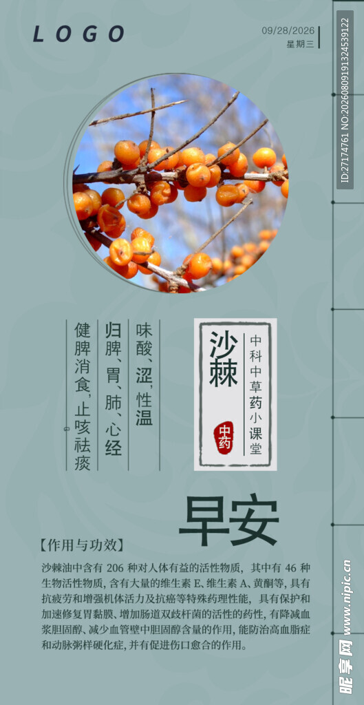 沙棘中医问早