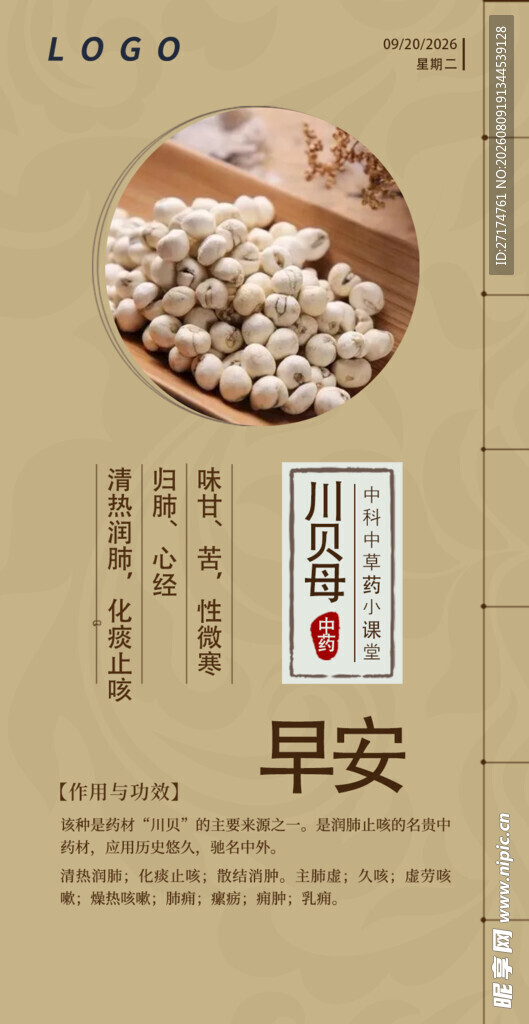 川贝母中医问早