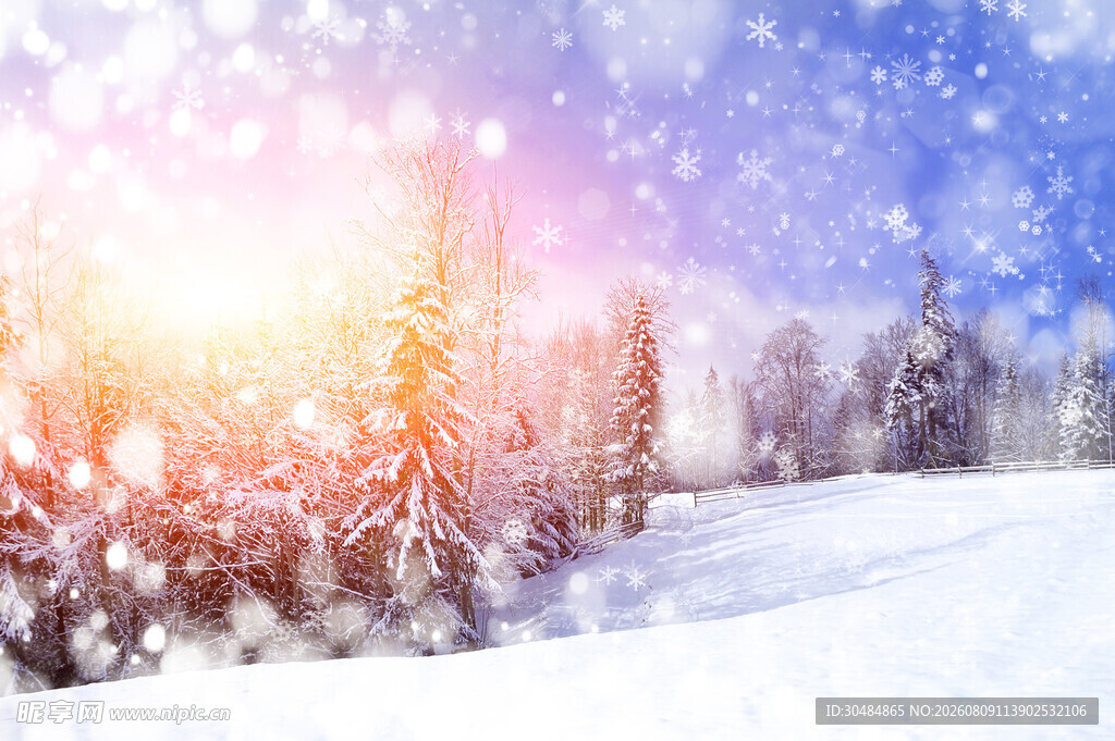 冬日雪景中的绚烂阳光