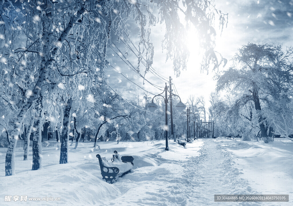 冬日雪景中的静谧公园小道