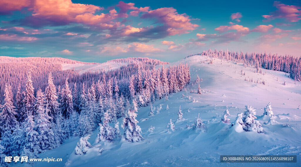 冬日雪林梦幻美景