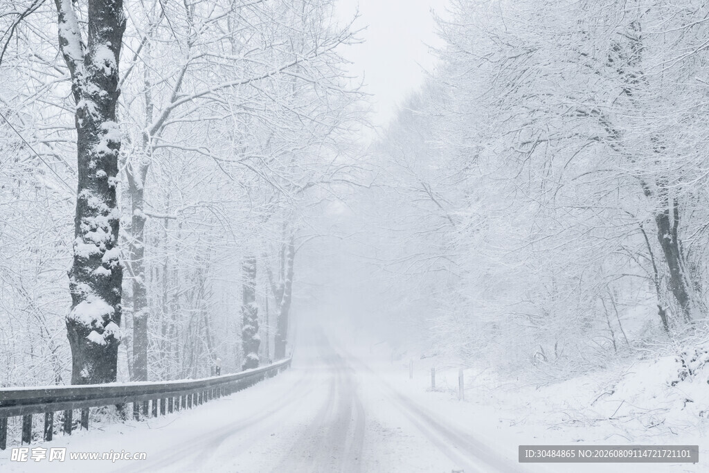 雪覆道路冬日静谧景致