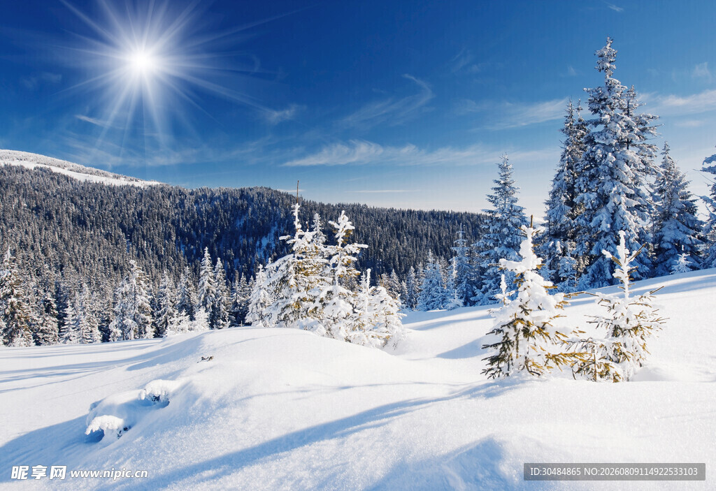 冬日雪景中的银白山林