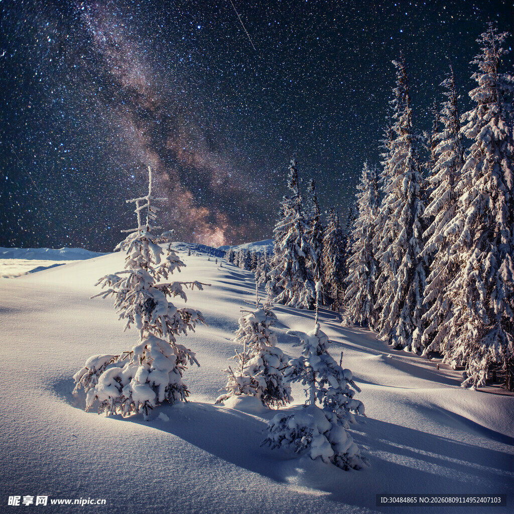 雪夜森林中的璀璨星空