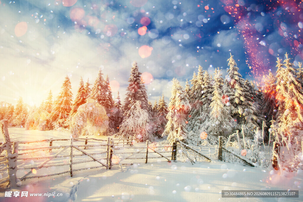 冬日雪景中的梦幻森林