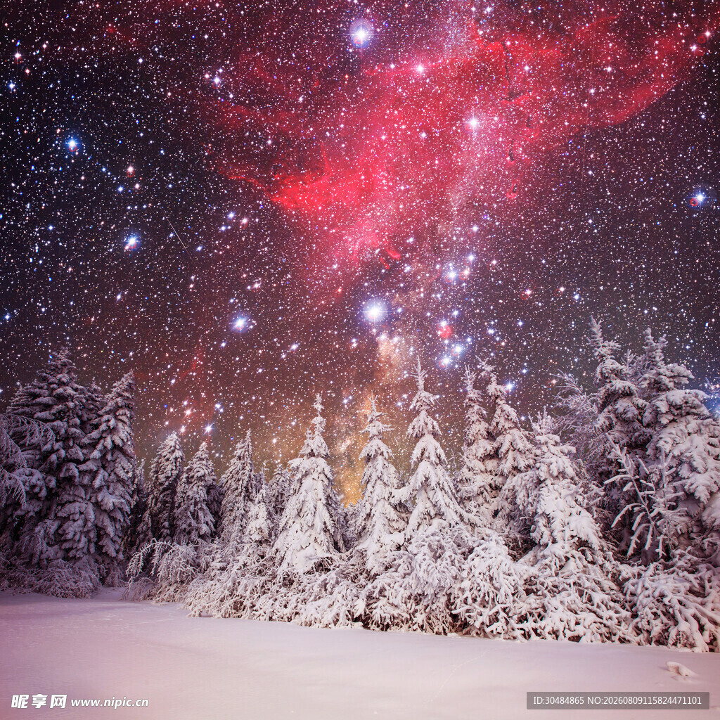 雪林之上的梦幻星空