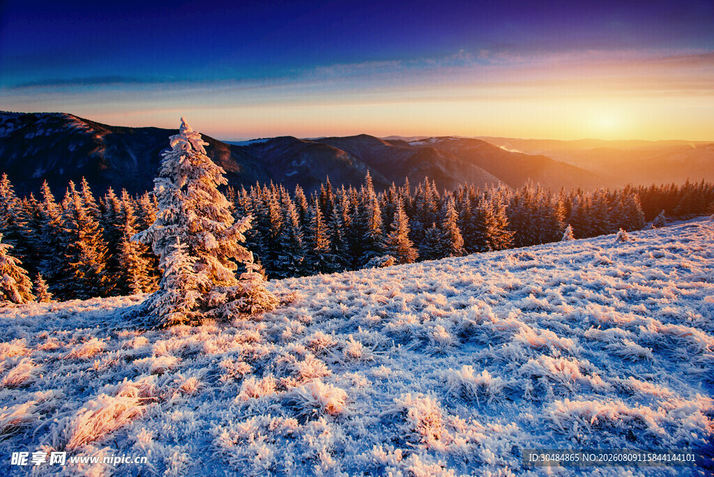 雪野山林间的壮丽日出