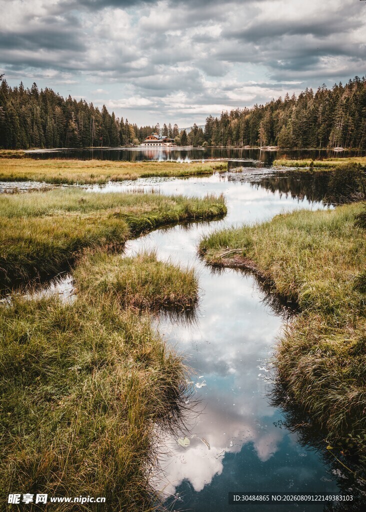 宁静溪流畔的自然美景