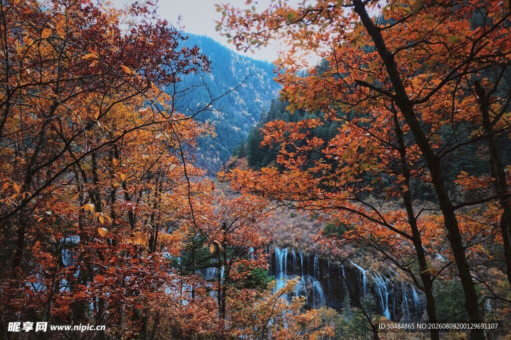 秋日山林瀑布美景