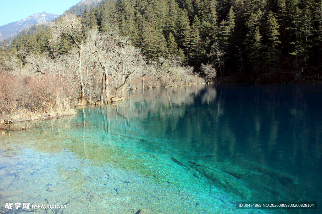 九寨沟清澈碧蓝的湖水