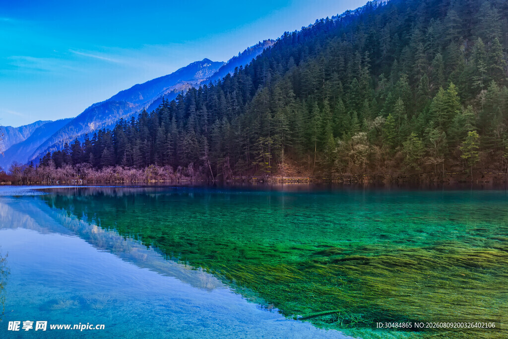 清澈湖水旁的山林美景