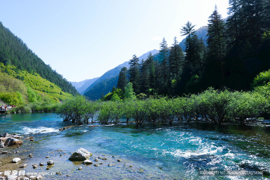 山间清澈溪流