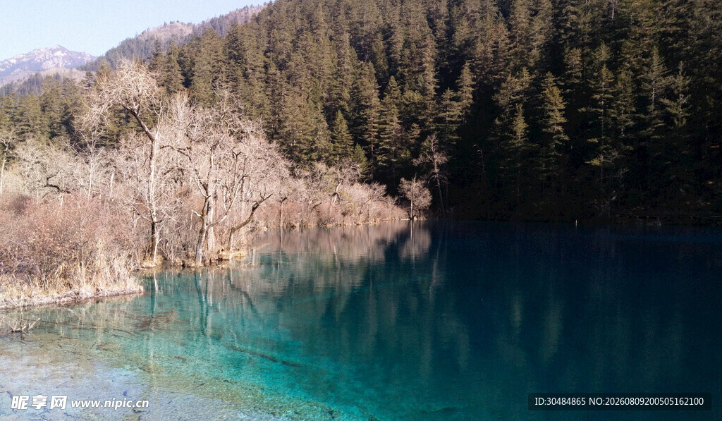幽蓝湖水旁的山林美景