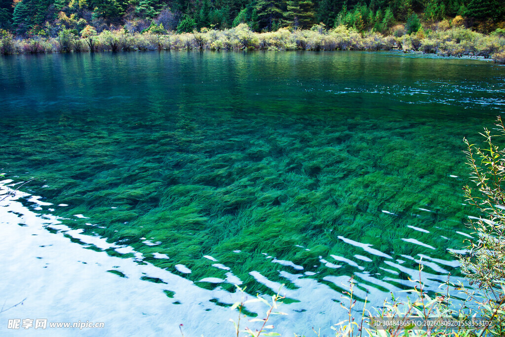 清澈碧绿的湖水美景