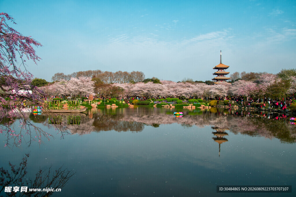 武汉东湖樱花园