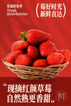 新鲜红颜草莓促销海报