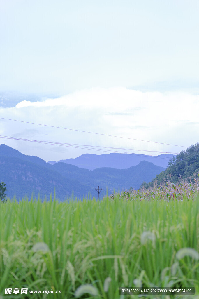绿野山峦间的清新景致