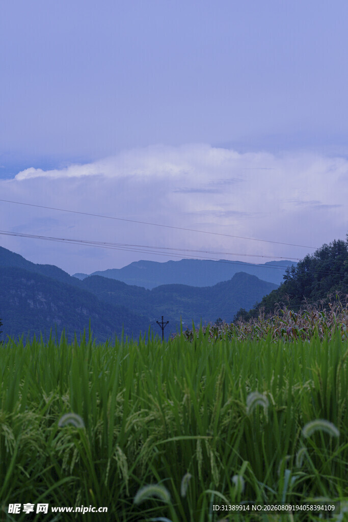 山间绿野 清新自然景致