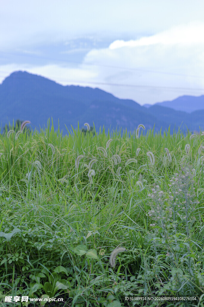 绿野青山间的自然景致