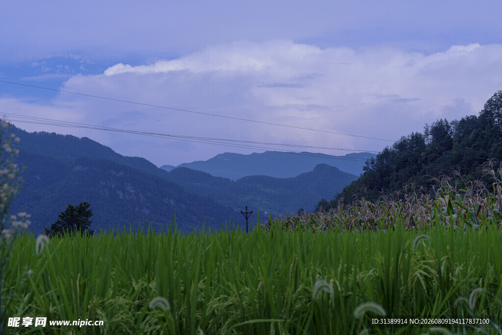山间绿野
