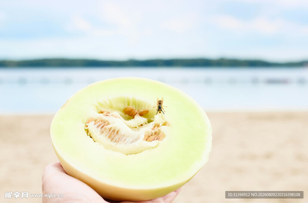 海边手持半颗清新蜜瓜