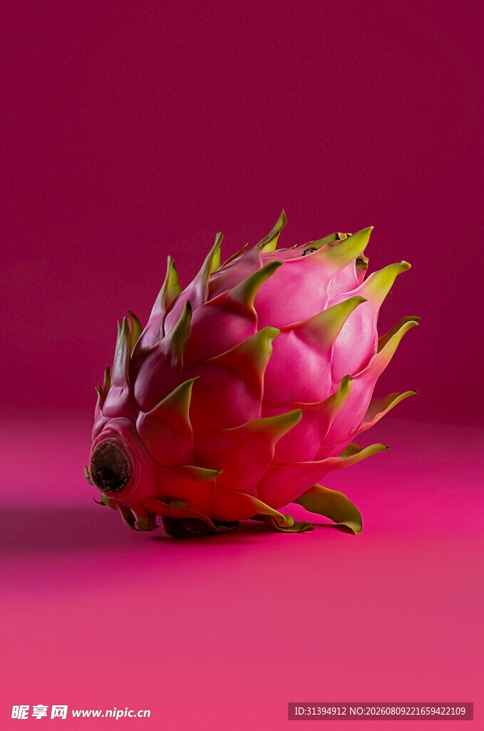 粉红背景上的火龙果