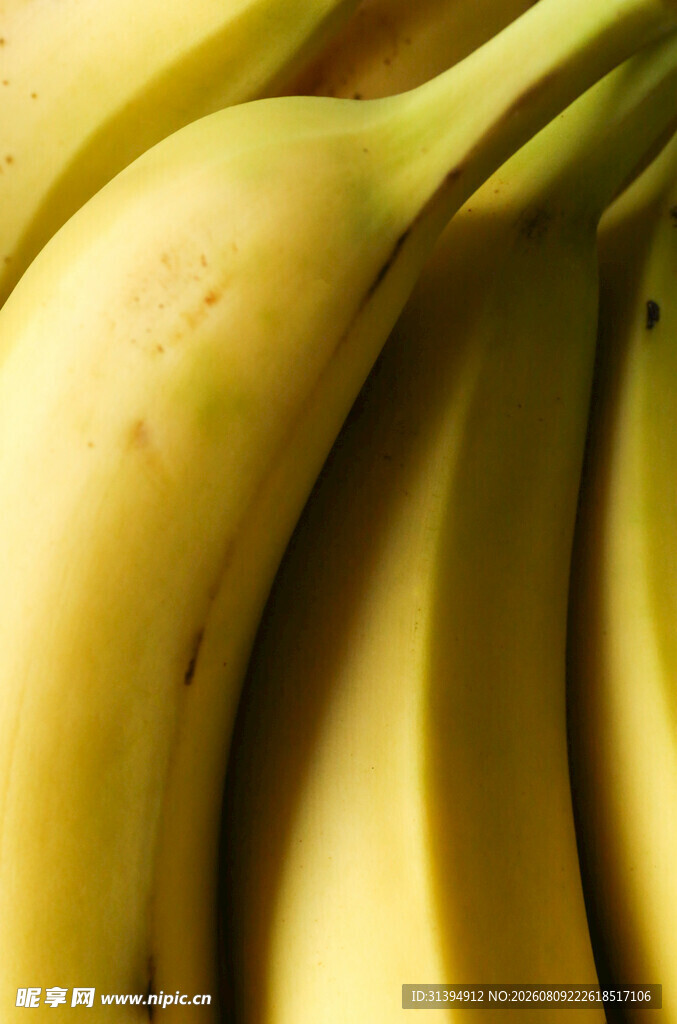 新鲜饱满的黄色香蕉