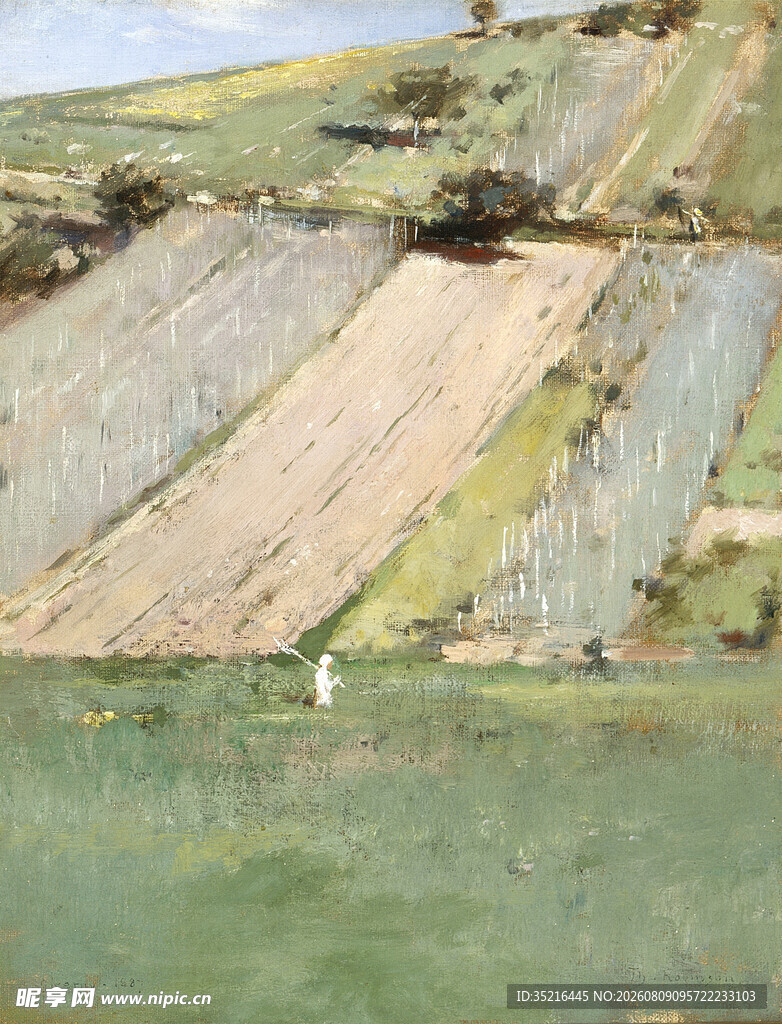 山坡梯田景观
