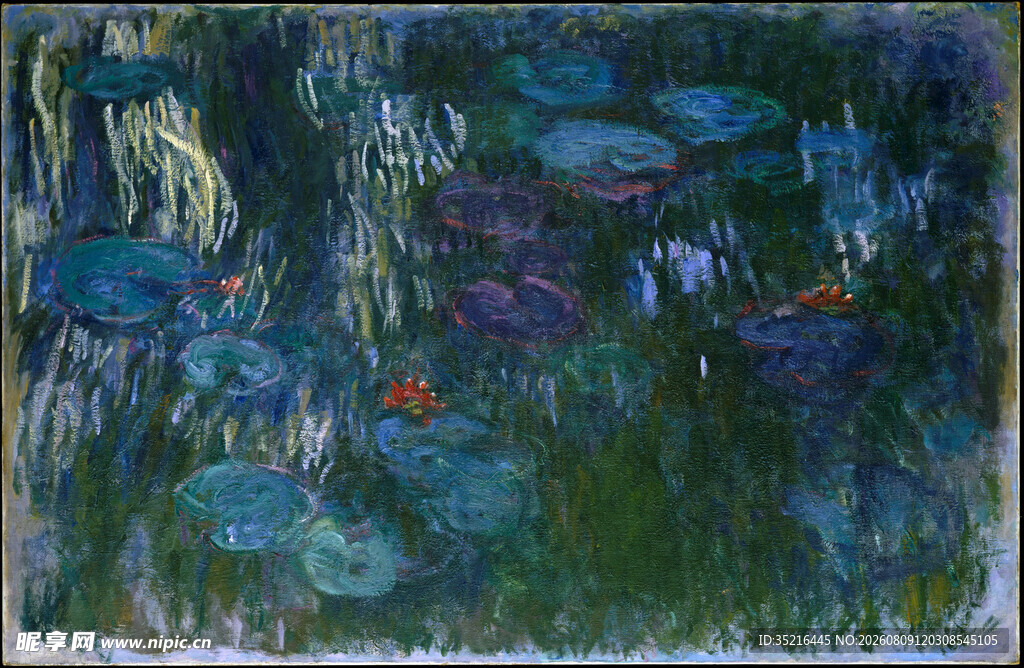 莫奈睡莲画作局部